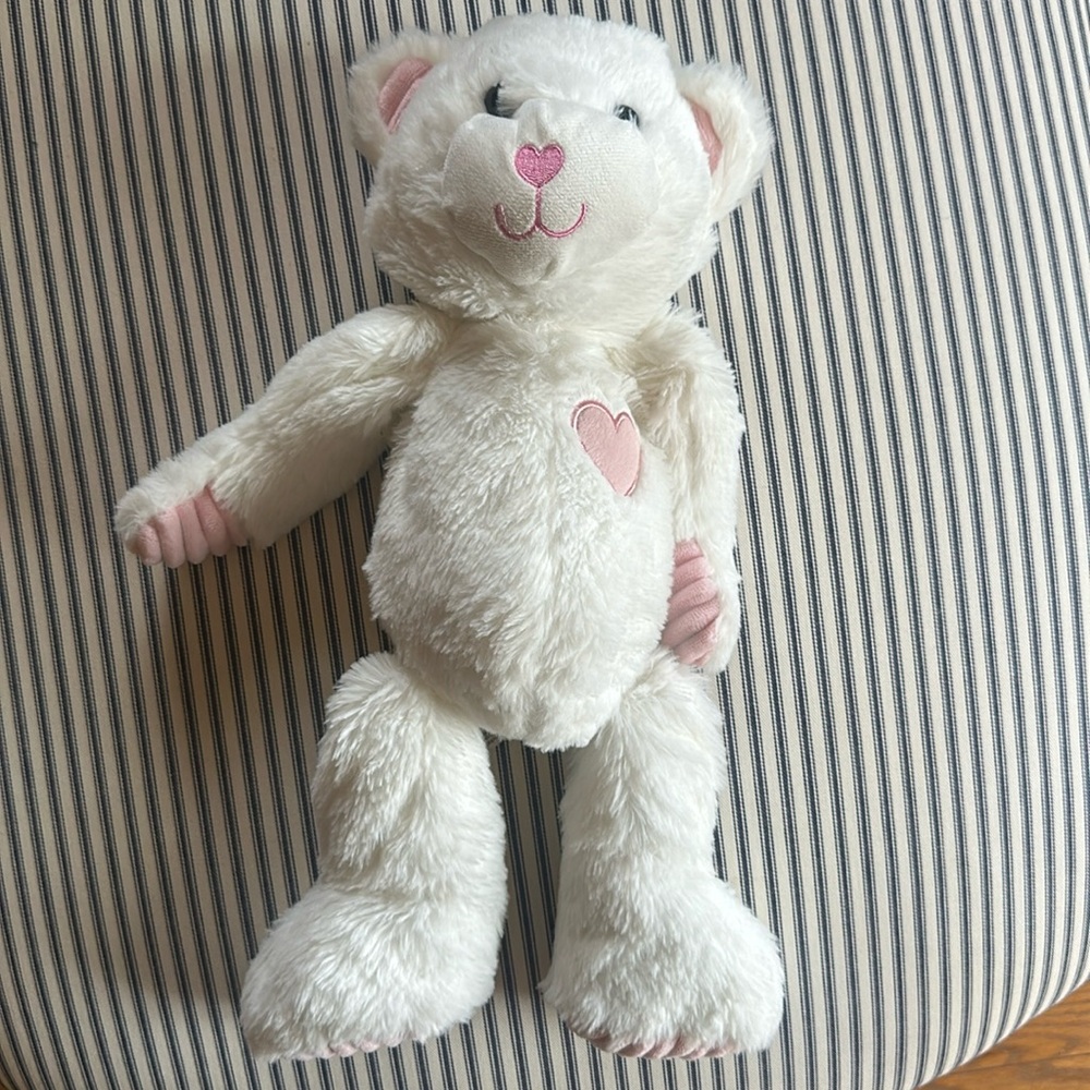 White Teddy Bear